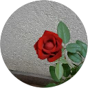 Nouzia G profile picture